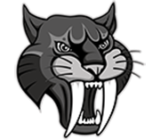 graphic of sabercat head 