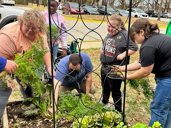 students harvest carrots and other vegetables