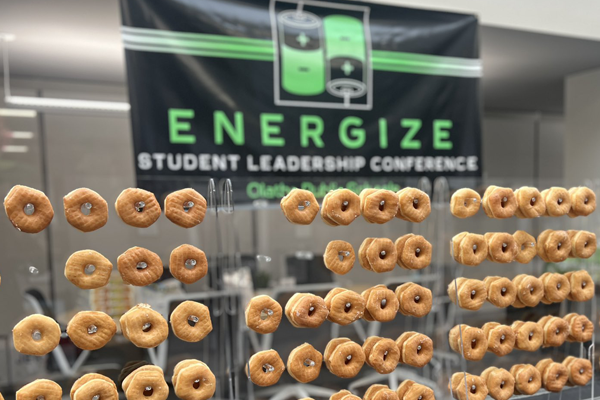 display of dozens of donuts